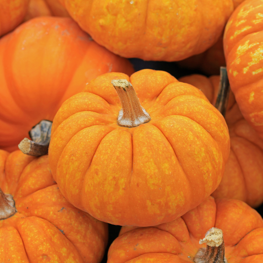 Savons qui guérissent - Vitamine E avec huile de graines de citrouille biologique