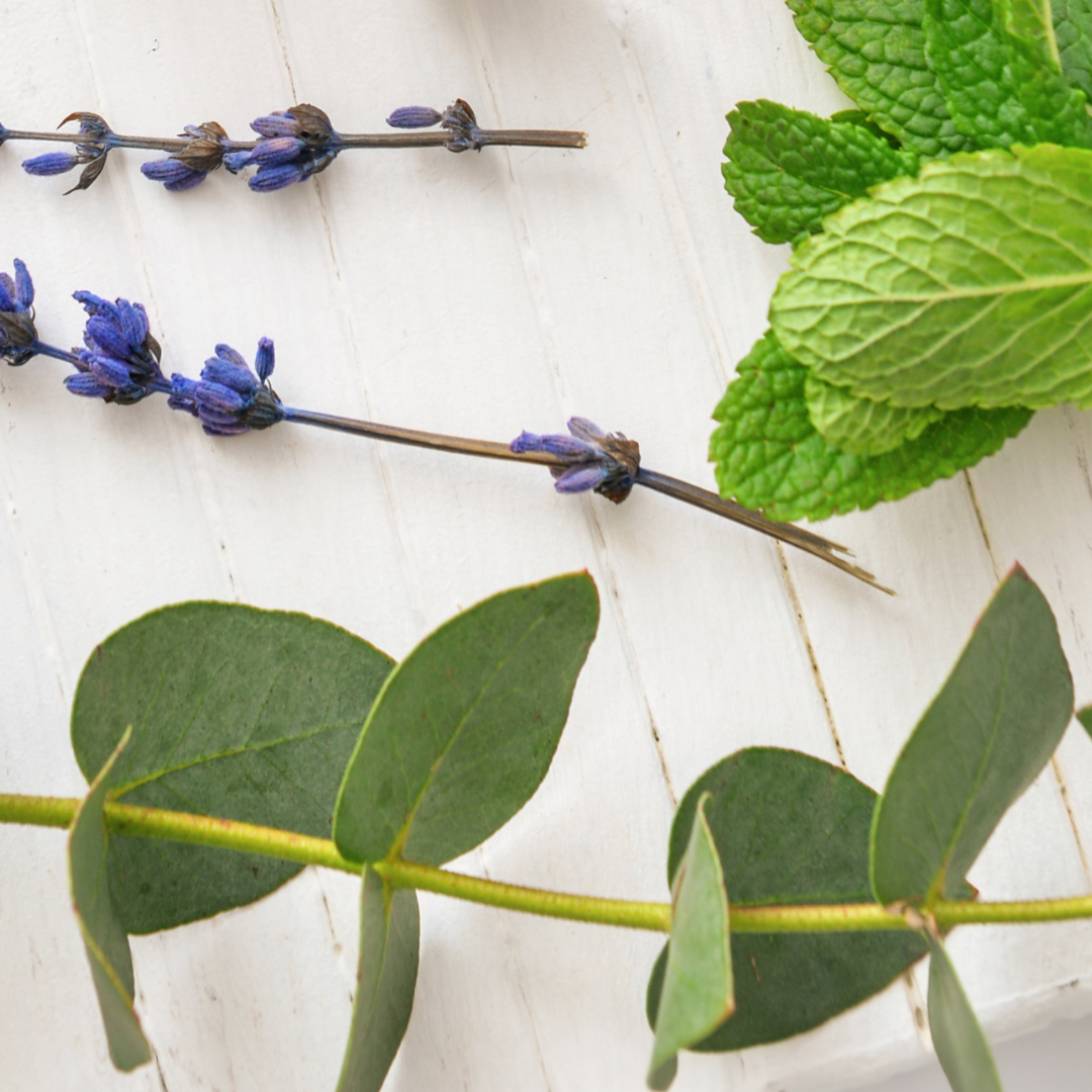 oilblends uncle benney's essential oil plants on table for relief of cold and flu symptoms, organic soap