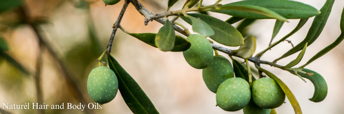 natural oils for the hair, natural oils for the body, naturel hair and body, oilblends products, Unlock soft skin and healthy looking hair with the power of nature’s nourishing oils.  Infused with rich botanical nutrients, these oils penetrate deeply to hydrate, restore, and protect - leaving your skin silky smooth and your hair strong, shiny, and manageable. 