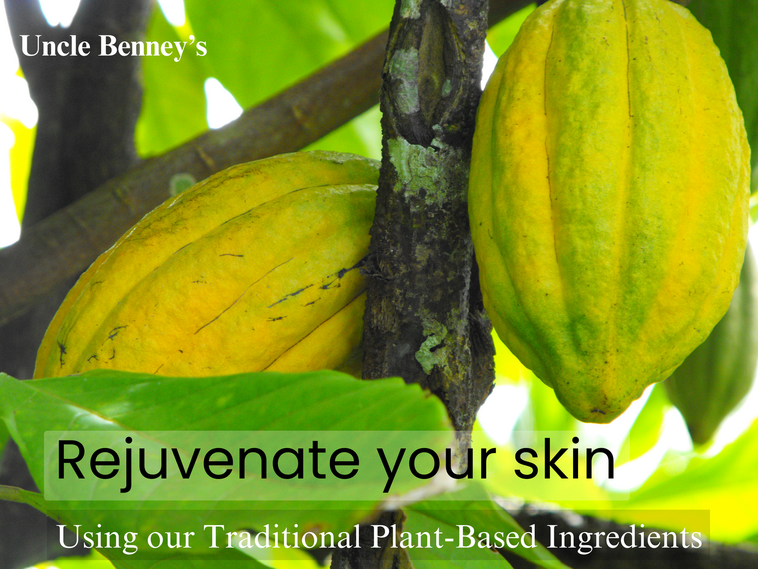 uncle benney's traditional plant based skincare, how to reduce hyperpigmentation, vitamin e cream, vitamin e, turmeric butter, how to treat acne, fading cream, whitening cream, vitamin e cream, hyperpigmentation, brightening cream, natural skincare products, pimples, skin hydration, skincare, skincare routine, skincare tips, turmeric, turmeric skincare, bleaching cream, turmeric butter, turmeric soap,healthy skin system, palmers pure cocoa butter, stretch mark butter,  how to get rid of stretch marks
